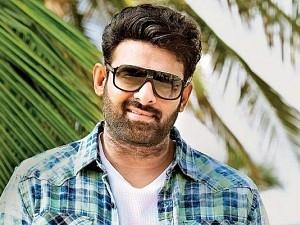 Actor Prabhas New Film With Director Maruthi