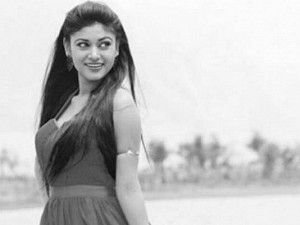 பிக்பாஸ் நடிகை ஓவியாவின் புதிய பதிவு | biggboss actress oviya opens on recent vijay fans death indirectly