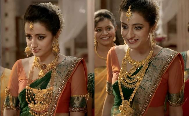 Famous Tamil Actress Trisha Tested Covid Positive BT