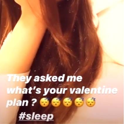 hansika tells her valentines day plan in her instagram story