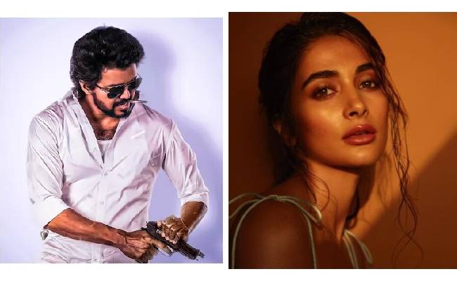 HERE’S WHAT BEAST HEROINE POOJA HEGDE SAID ABOUT THALAPATHY