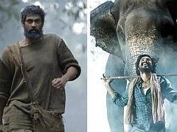 &ldquo;யானைகளின் வீட்டுக்குள் புகுந்து மனிதர்கள் அட்டகாசம்!&rdquo; - காடன் டிரெய்லர் &amp; ரிலீஸ் அப்டேட்!