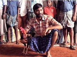 மலையாள ரீமேக் படத்தின் உரிமையை வாங்கிய தனுஷ் தயாரிப்பாளர் OFFICIAL Dhanush Producer Gets The tiktok Fame Malyalam Movie