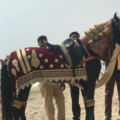 Ponniyin Selvan Mani Ratnam shoot spot horse Suhasini Pondicherry