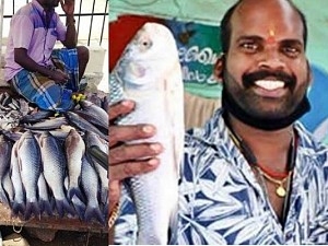 Popular actor turns fish vendor owing to Corona crisis ft Sudheesh Ancherry | கொரோனா பிரச்சனையால் மீன் விற்கும் நிலைக்கு ஆளான நடிகர்