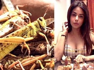 பிரபல நடிகை கோபம் வெட்டுக்கிளிகளை உயிருடன் சாப்பிட்ட நபர்Popular actress slams man eating locust Ft Meera Chopra