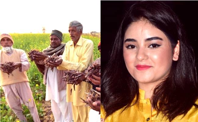 சிக்கலில் நடிகை மதத்தின் பெயரால் வெட்டுக்கிளி தாக்குதலை ஆதரிப்பதா? Popular actress Zaira Wasim is criticised for her post on locust 