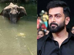 யானையின் மரணம் பற்றி பிருத்விராஜ் விளக்கம் Prithviraj makes clarification on pregnant elephant death