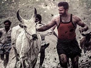 Raavana Kottam : 'துணிவு' மற்றும் 'வாரிசு' திரைப்படங்களோடு 250 ஸ்கிரீன்களில் இராவண கோட்டம் டிரெய்லர்!!