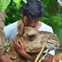 உதயநிதி - விக்ராந்தின் 'பக்ரீத்' படத்தில் இருந்து சில நிமிட காட்சி