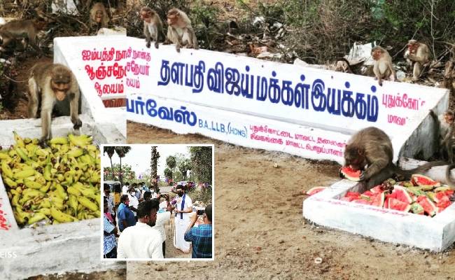 vijay fans arranges water and food for monkeys heartfelt pics