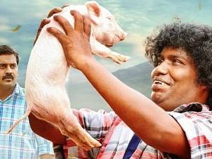 yogi babu Starrer Panni Kutty TN Kerala Karnataka release