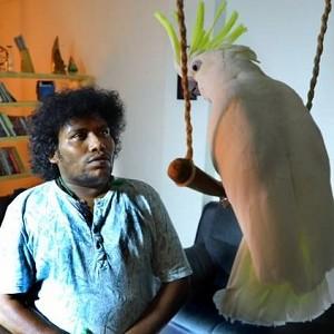 Yogi Babu to act with an australian bird Cocktail