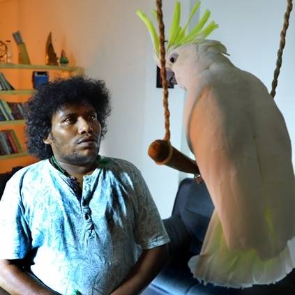 Yogi Babu to act with an australian bird Cocktail